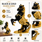 Black and Gold polyresin rearing horse showpiece with a premium finish and sturdy base.