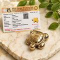 Natural Golden Hematite Tortoise - ANS Billion