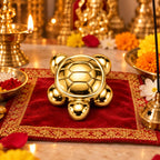 Natural Golden Hematite Tortoise - ANS Billion