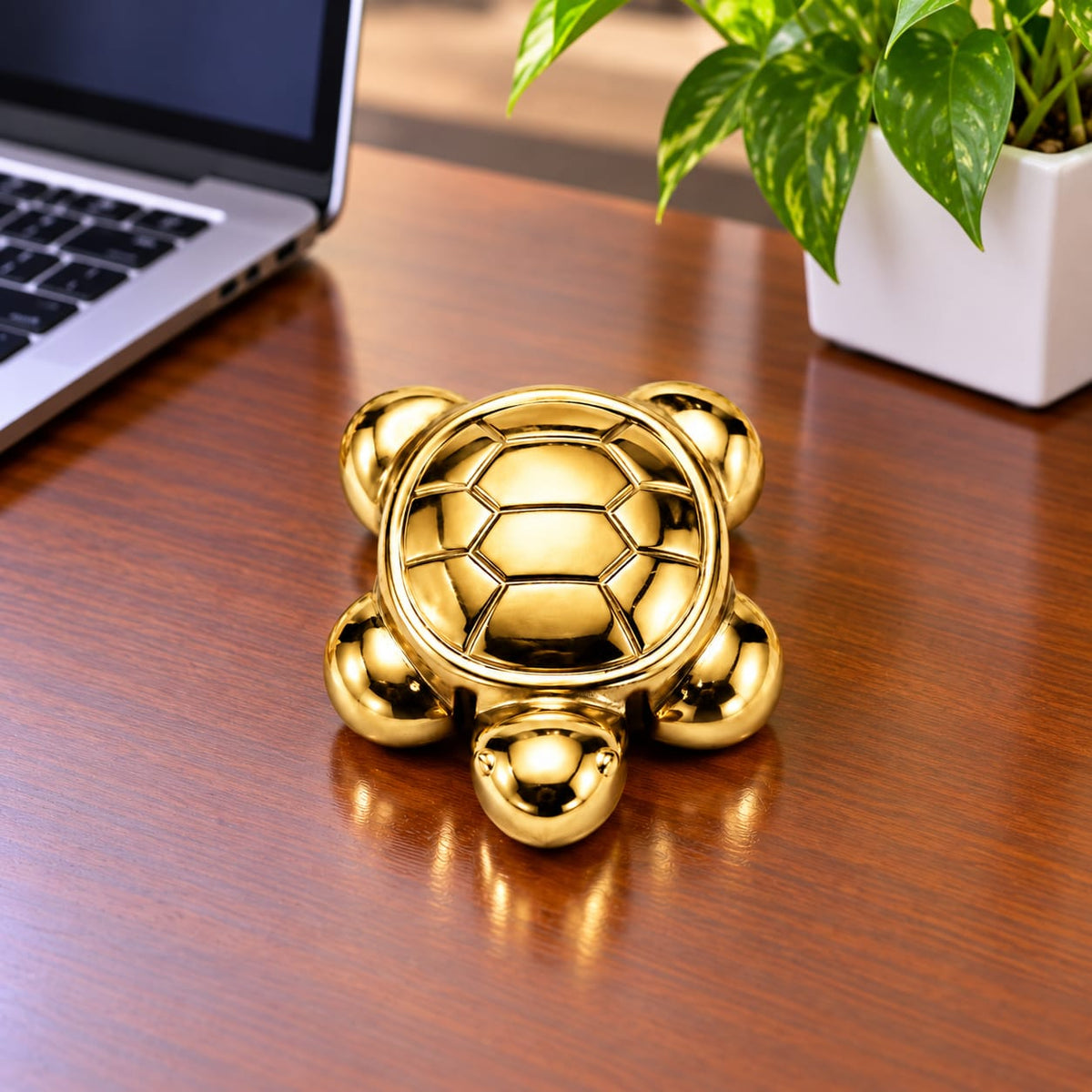 Natural Golden Hematite Tortoise - ANS Billion