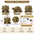 Natural Pyrite Tortoise for Home &amp; Office Decor