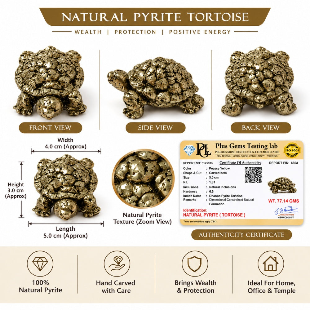 Natural Pyrite Tortoise for Home &amp; Office Decor