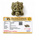 Natural Pyrite Tortoise for Home &amp; Office Decor